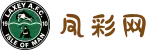 凤彩网-提供多元化网络服务的平台